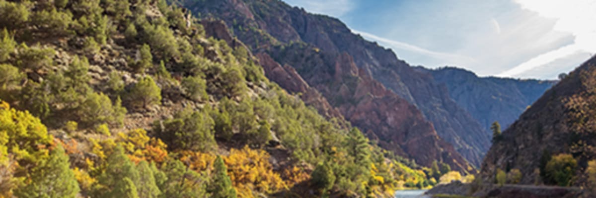Dallasto Gunnison Flights on JSX