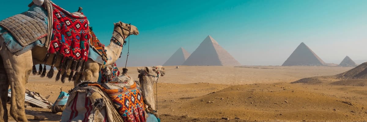 Find the Best Flights to Cairo on flynas
