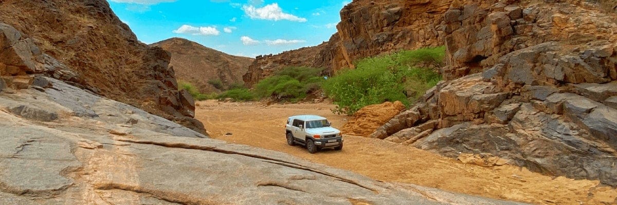 Flights from Jeddah to Jizan. flynas Tickets {price_modifier}from **Flights.FromLowestPrice**