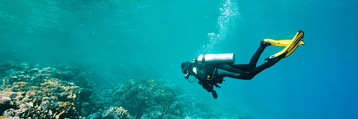 Flights from Berlin to Jeddah. flynas Tickets {price_modifier}from **Flights.FromLowestPrice**