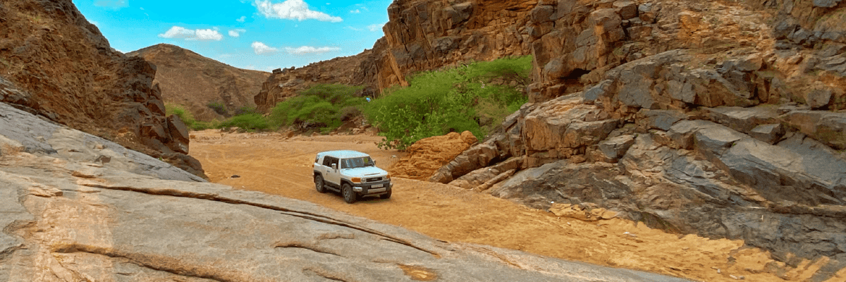 Find the Best Flights to Najran on flynas