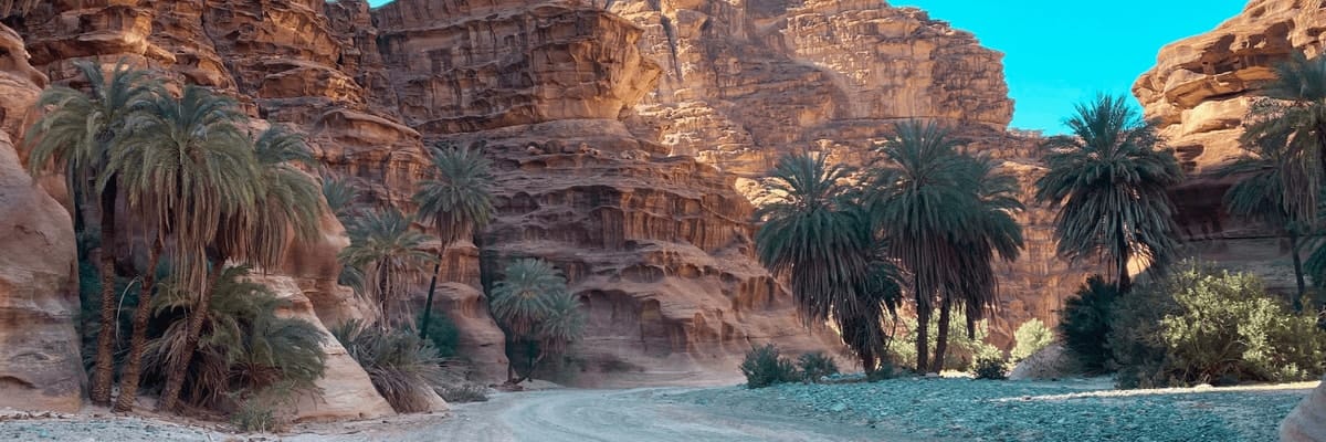 Flights from Abha to Tabuk. flynas Tickets {price_modifier}from **Flights.FromLowestPrice**