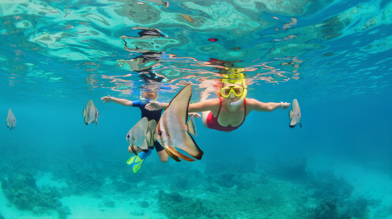 Personas practicando snorkel en aguas turquesa con peces tropicales en Cancún.
