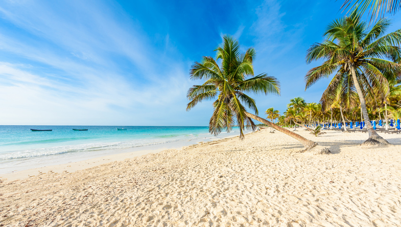Playa caribeña de arena blanca y palmeras inclinadas en Cancún bajo cielo despejado.