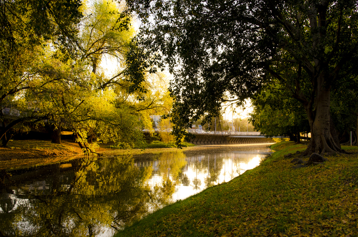 Sendero del Parque Las Riberas y Rio Tamazula.