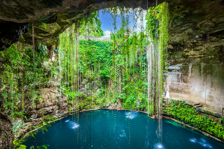 Cenote rodeado de vegetación colgante en la península de Yucatán, con agua turquesa en el interior.