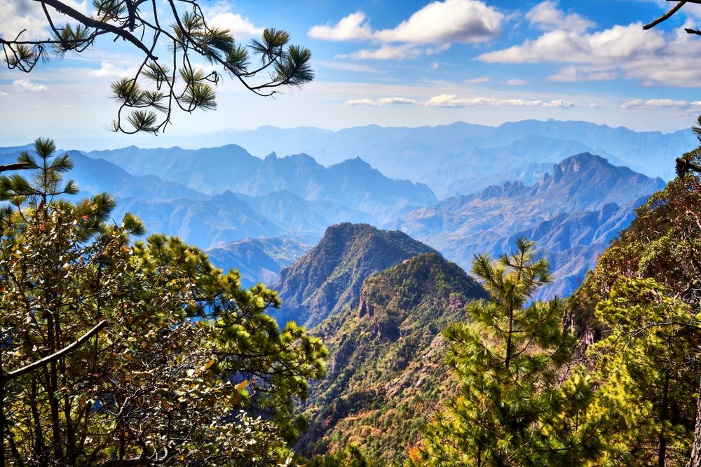 Canyon and valleys in Mexiquillo, Durango.