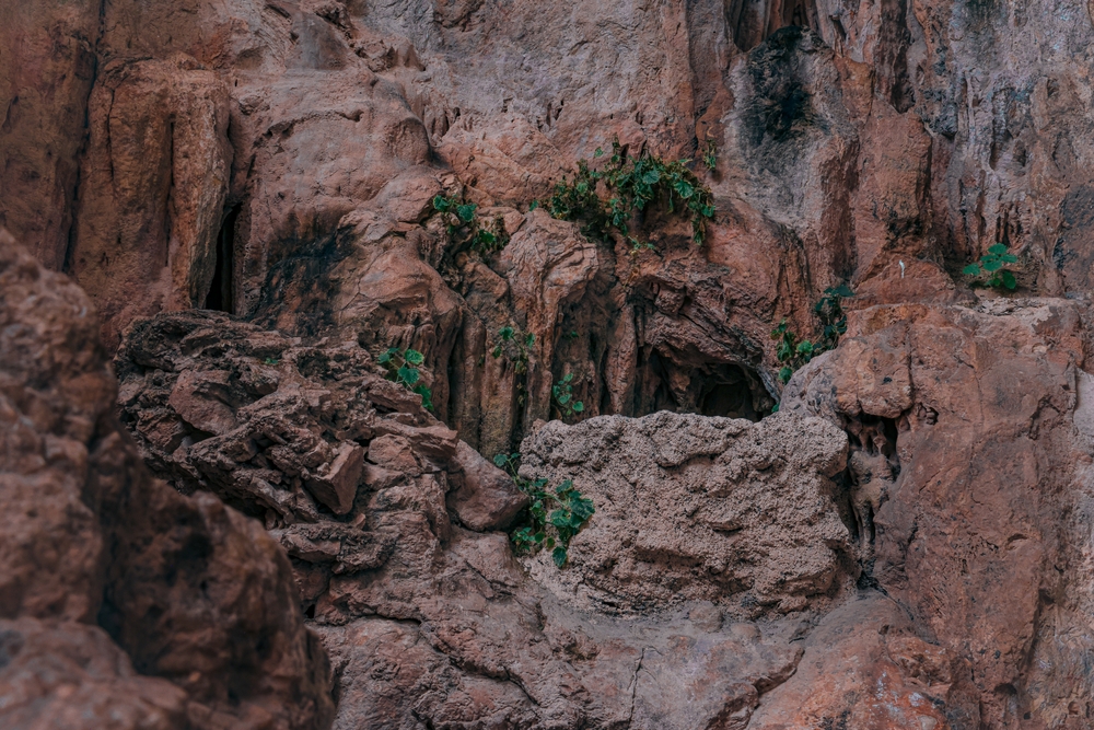 Grutas de García Dentro de las cuevas se observan impresionantes formaciones rocosas que llenan el espacio en las Grandes cámaras.