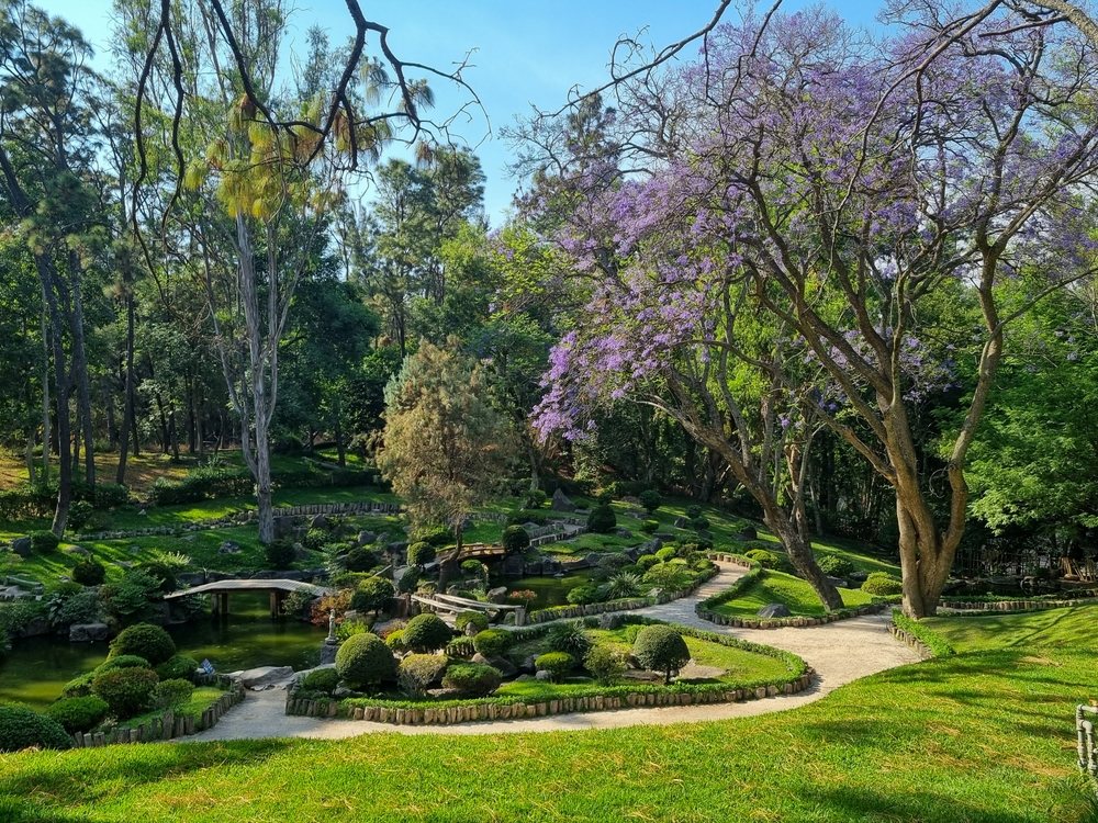 Jardín Asiático en Bosque los Colomos en Guadalajara, México.