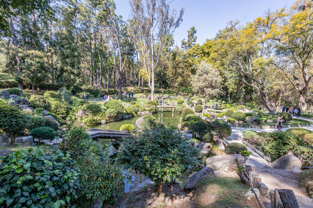 Jardín japonés en el parque público de Los Colomos