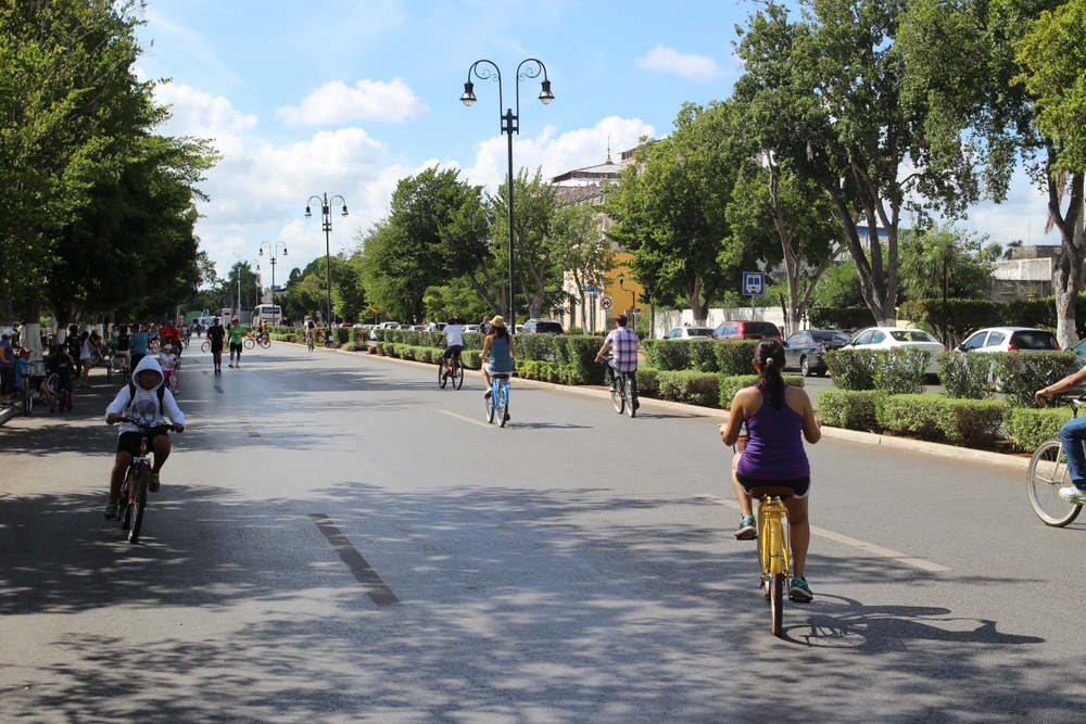 People riding bikes across Paseo de Montejo, Merida.