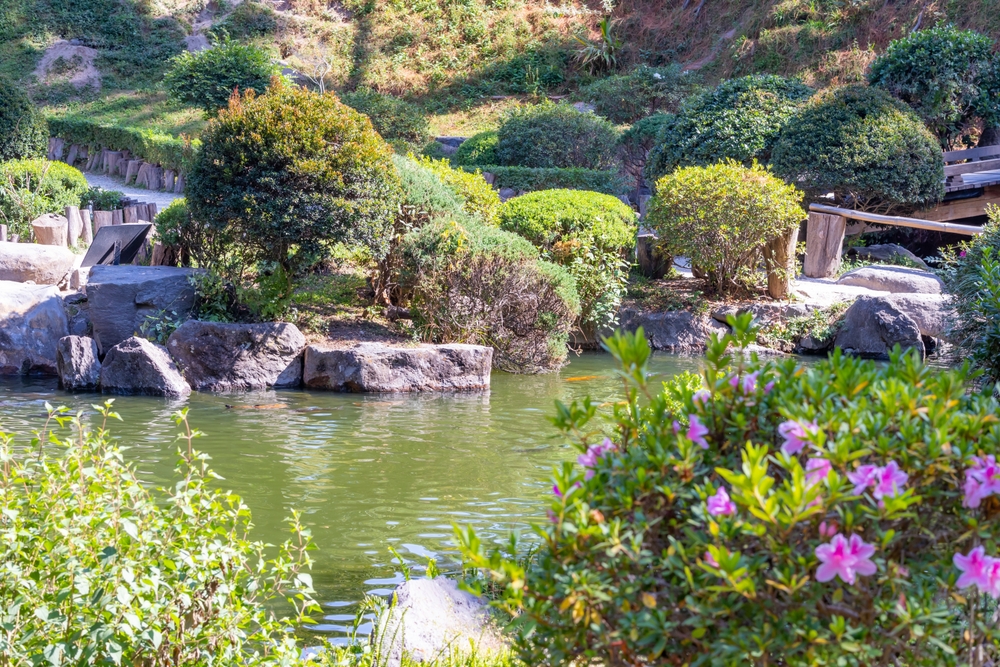 Jardín japonés con hierba verde y árboles frondosos con una colina en segundo plano en el parque público Bosque Colomos, Guadalajara, Jalisco México