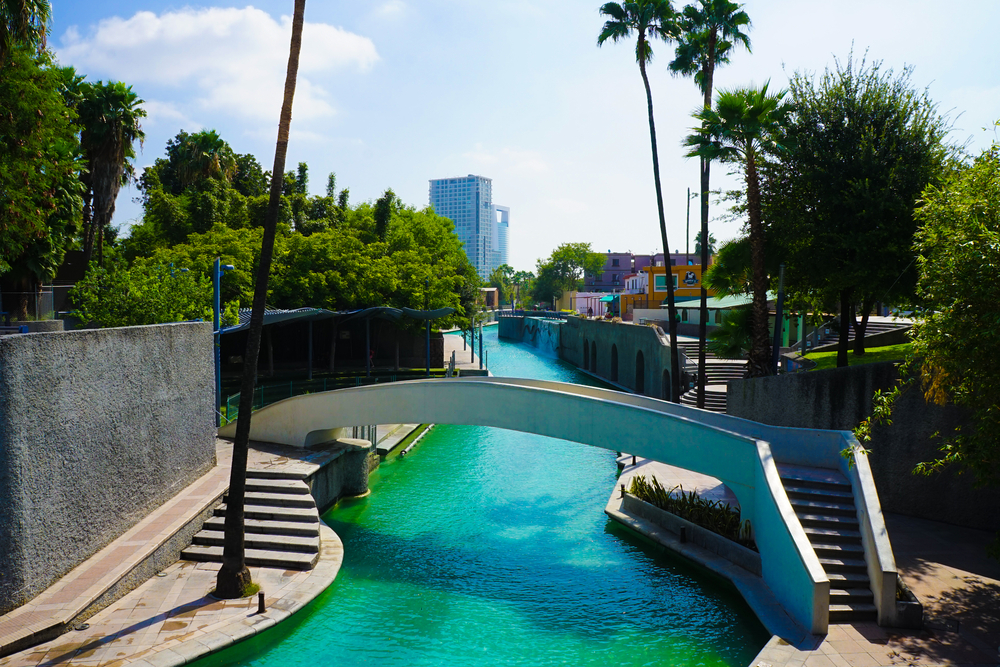Puente peatonal sobre el canal del Paseo Santa Lucía en Monterrey, rodeado de palmeras, árboles y arquitectura urbana con un edificio moderno al fondo.