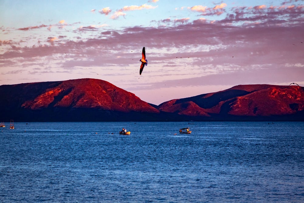 El mar y las montañas de la Bahía de Topolobambo al atardecer, Los Mochis..