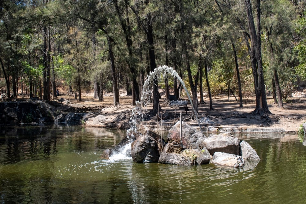 Chorro de agua curvado dispara sobre rocas en un estanque rodeado de pinos en el tranquilo bosque de Colomos, Guadalajara, México