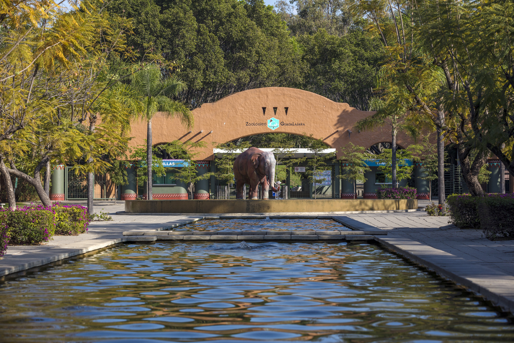 Entrance of the Guadalajara Zoo.
