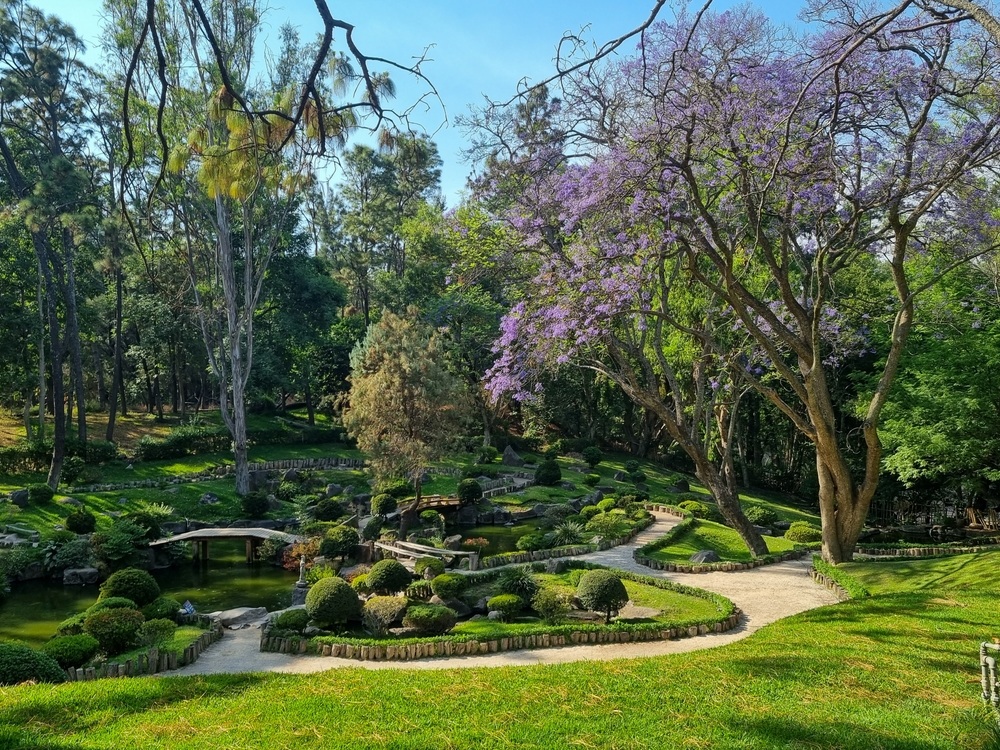 Jardín asiático en el Bosque Los Colomos de Guadalajara.