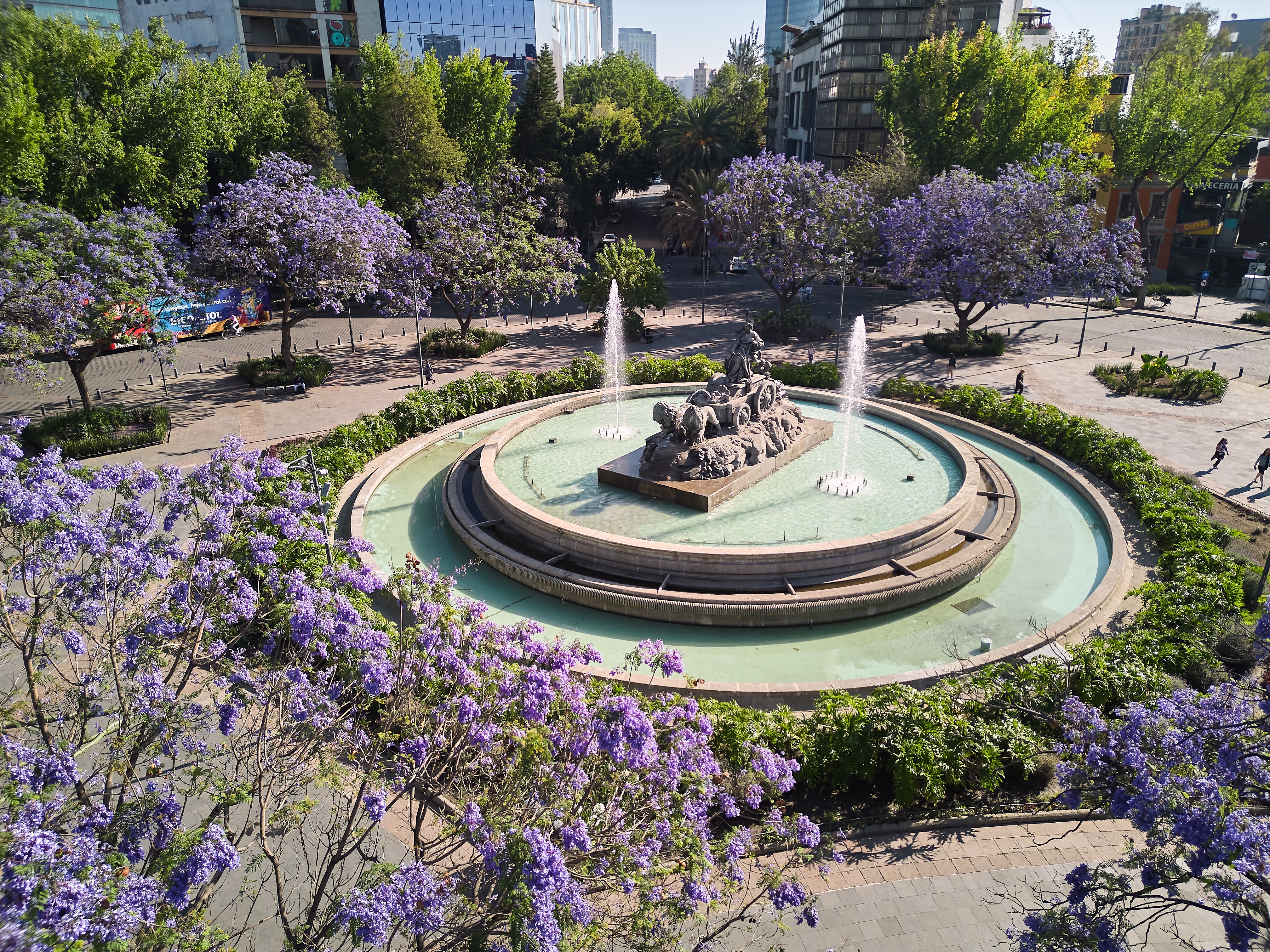 Fountain of cybele (Spanish: Fuente de Cibeles) bronze replica at the roundabout in Plaza Villa de Madrid in Condesa Roma neighborhood with Jacaranda trees.