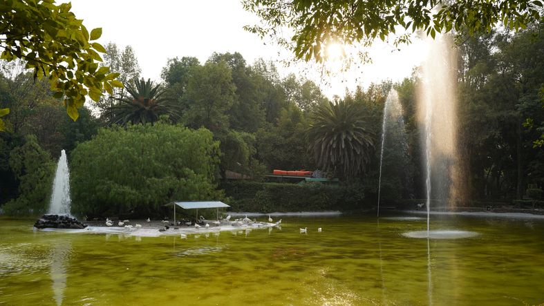 A lake within a park in Reforma neighbourhood in Mexico City.