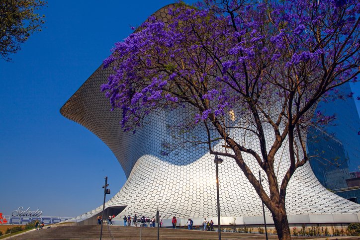 The exterior architecture of Soumaya Museum framed by a jacaranda tree.
