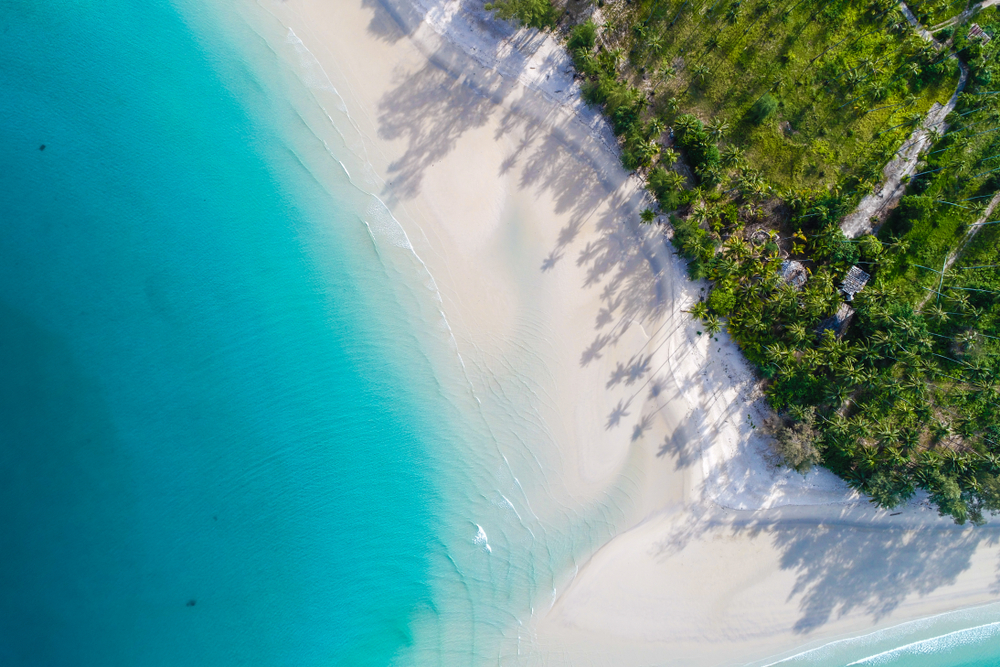 Vista aérea de una porción de la costa de Cancún, con árboles, arenas blancas y aguas cristalinas.