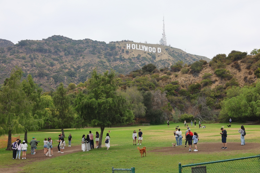 Vista del Hollywood sign desde el Parque Griffith en Los Ángeles.