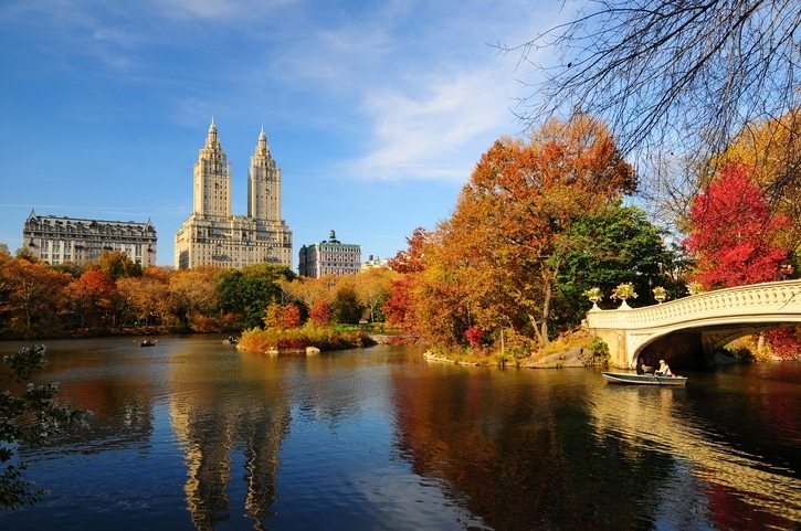 Lago y puente de Central Park en otoño, con rascacielos a lo lejos.