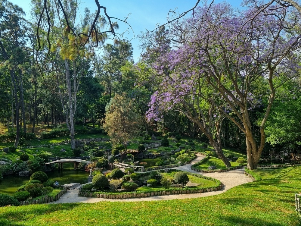 Panoramic view of Los Colomos forests and its walking trails.