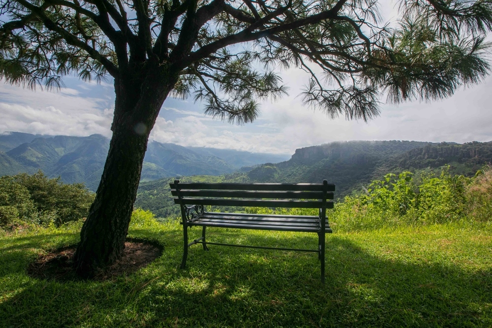 A bench below a tree in Huentitan overlook point.