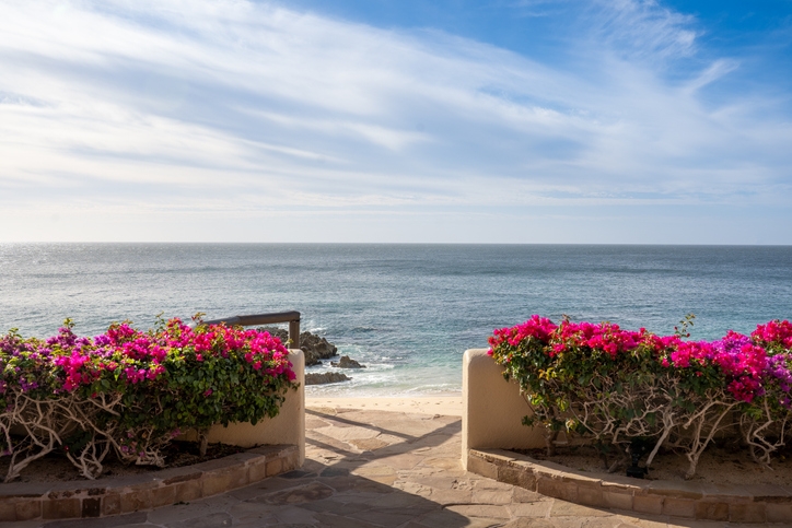 An entrance path to the beach decorated with flowers.