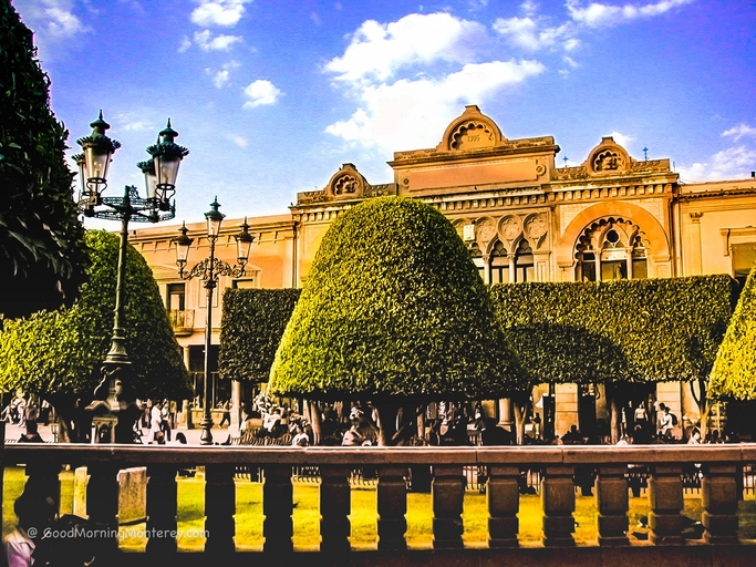 Park trees and historic buildings in León’s Zona Centro