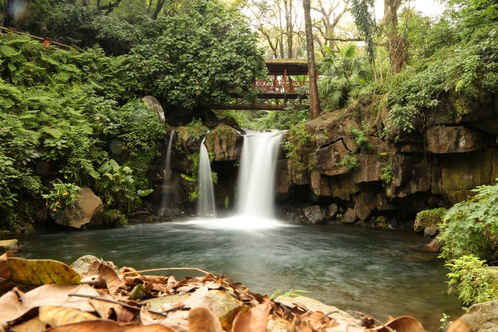 Cascada rodeada de vegetación en el Parque Nacional Barranca del Cupatitzio en Uruapan.