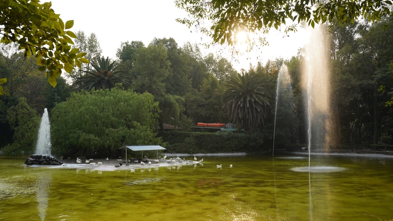 Lagos de plaza de la Reforma en Ciudad de México.