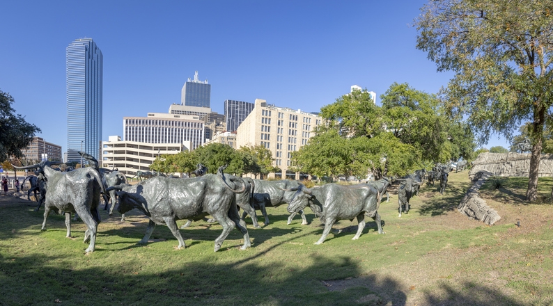 Esculturas de ganado largo en el Pioneer Plaza de Dallas, con el horizonte urbano al fondo y árboles rodeando el parque.