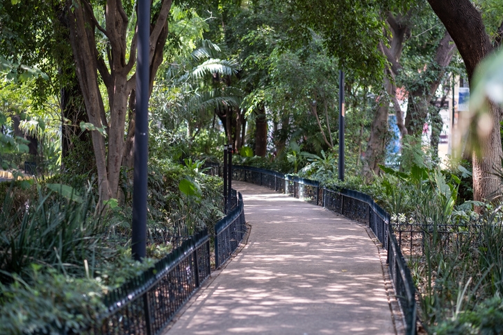 A walking bridge inside a park in the Condesa neighborhood.