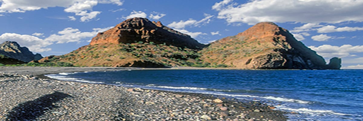 https://media.jtdwjcwq6f4wp4ce.com/y4v/yavas-home-banner.png