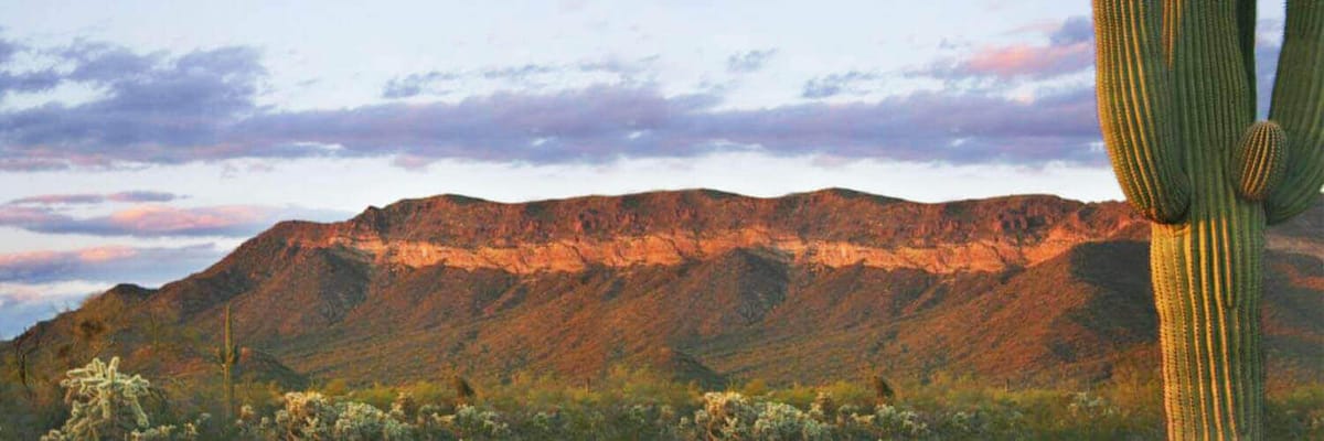 https://media.jtdwjcwq6f4wp4ce.com/y4v/yavas-home-banner.png
