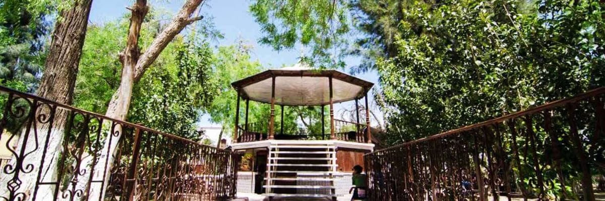 https://media.jtdwjcwq6f4wp4ce.com/y4v/yavas-home-banner.png