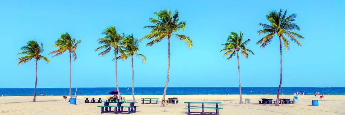 https://media.jtdwjcwq6f4wp4ce.com/y4v/yavas-home-banner.png