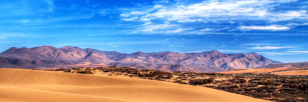 https://media.jtdwjcwq6f4wp4ce.com/y4v/yavas-home-banner.png