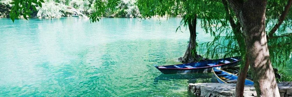 https://media.jtdwjcwq6f4wp4ce.com/y4v/yavas-home-banner.png