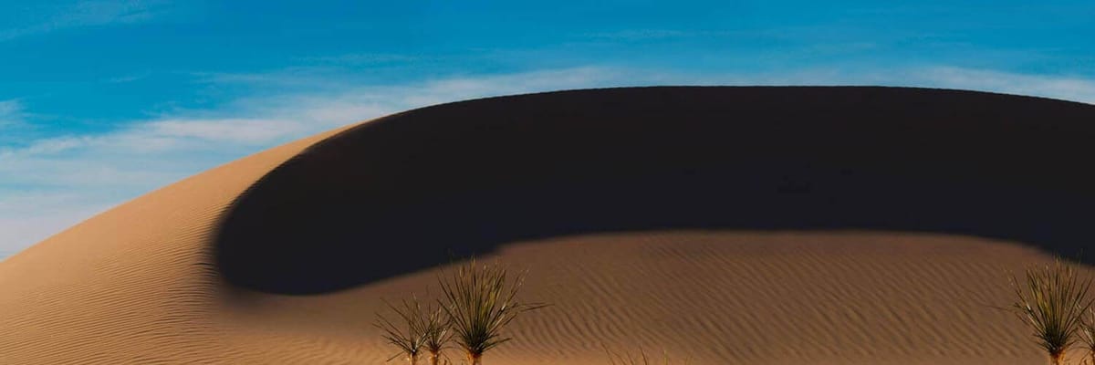 https://media.jtdwjcwq6f4wp4ce.com/y4v/yavas-home-banner.png