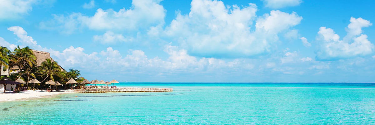 https://media.jtdwjcwq6f4wp4ce.com/y4v/yavas-home-banner.png