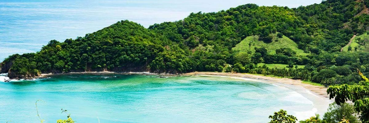 https://media.jtdwjcwq6f4wp4ce.com/y4v/yavas-home-banner.png